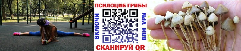 мориарти как зайти  купить наркотики сайты  Нолинск  Псилоцибиновые грибы ЛСД 